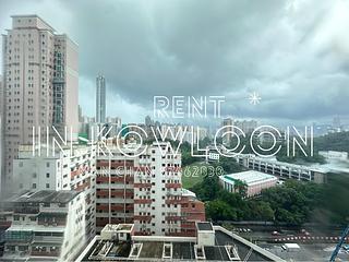 Mong Kok - Paradise Square 06