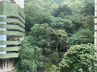 Mid Levels Central - Merry Court 04