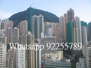 上環 - 帝后華庭 02