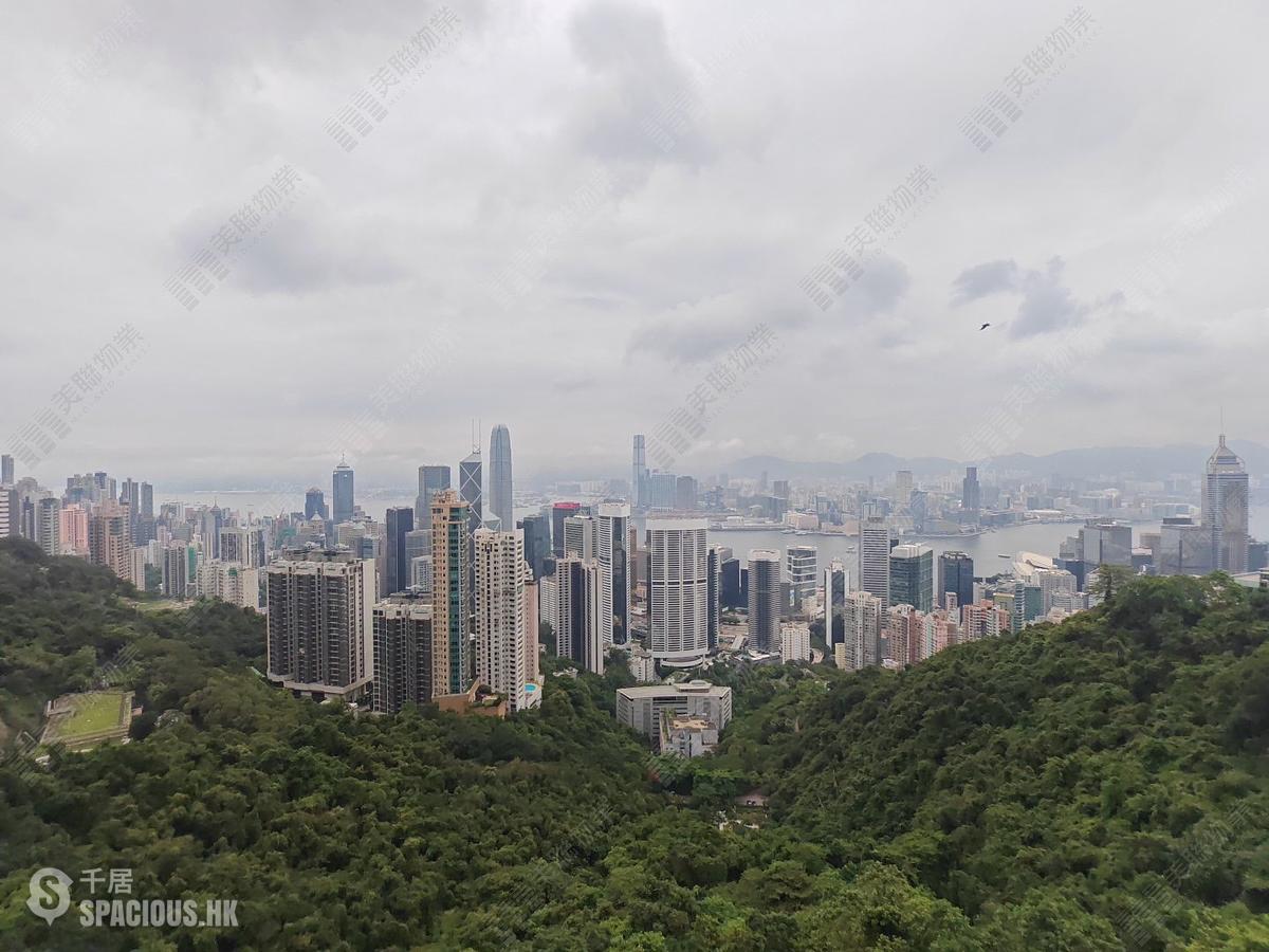 山顶 - 马己仙峡道26号 01