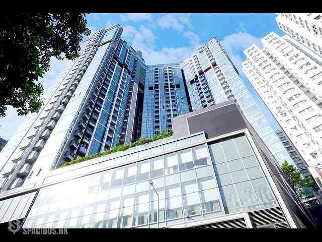 Shau Kei Wan - Lime Gala 02