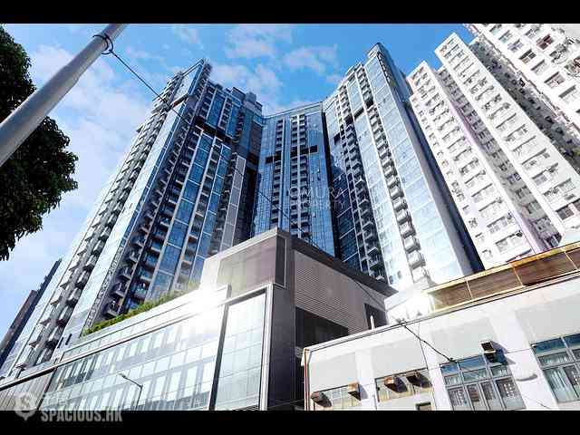 Shau Kei Wan - Lime Gala 19