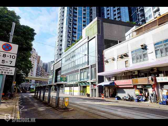 Shau Kei Wan - Lime Gala 21