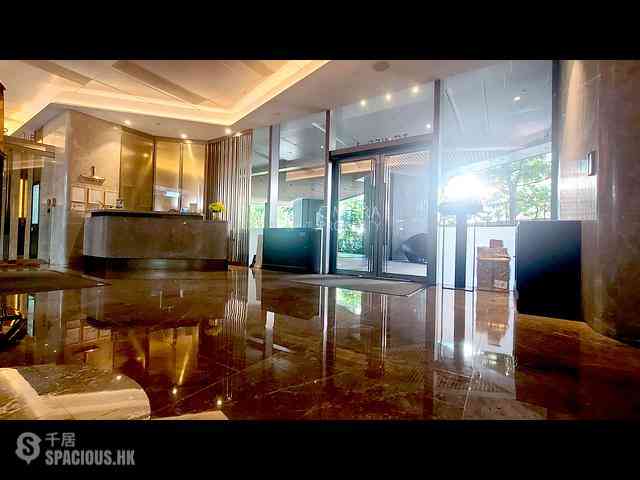 Shau Kei Wan - Lime Gala 24