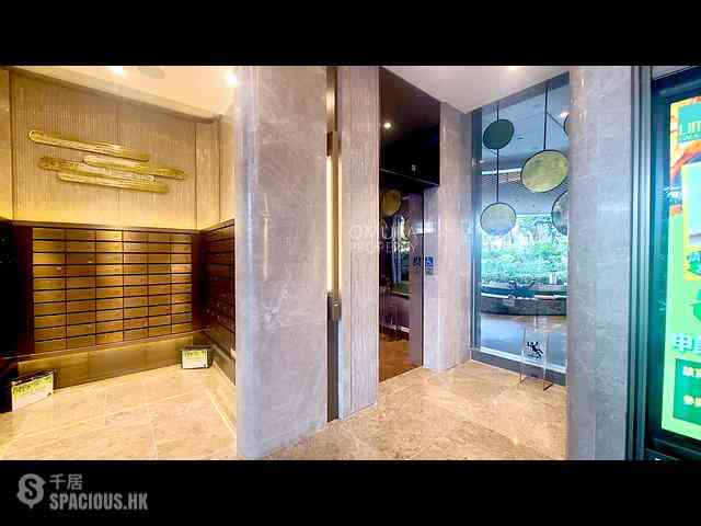 Shau Kei Wan - Lime Gala 25