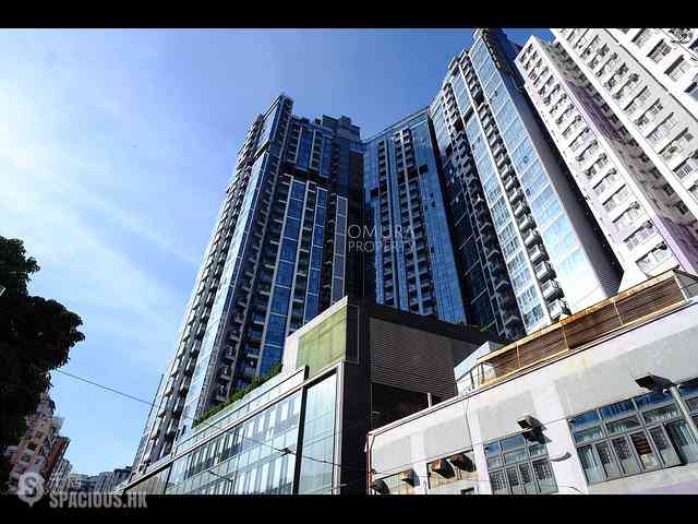 Shau Kei Wan - Lime Gala 28