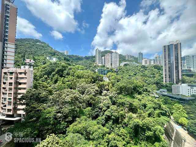 Wan Chai - Star Crest Block 1 01