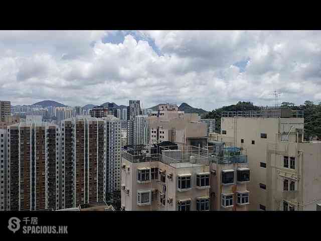 Shau Kei Wan - Lime Gala Block 1B 10