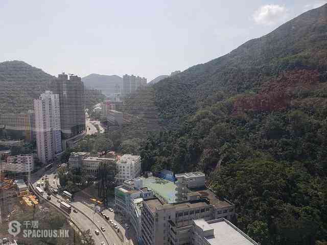 Shau Kei Wan - Lime Gala Block 1B 12