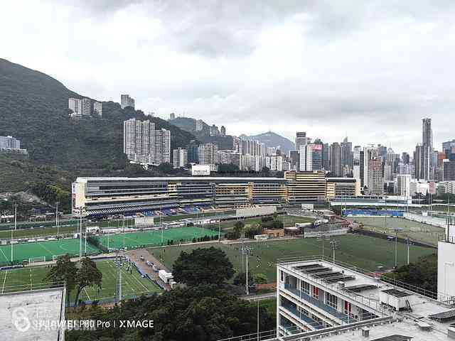 Happy Valley - Pioneer Court 04