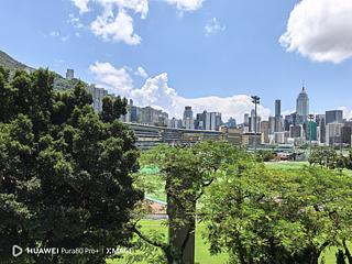 Happy Valley - Green View Mansion 03