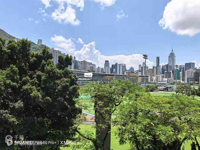 Happy Valley - Green View Mansion 03