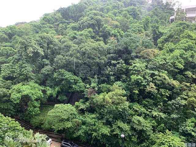 Tai Hang - The Legend Block 3 01