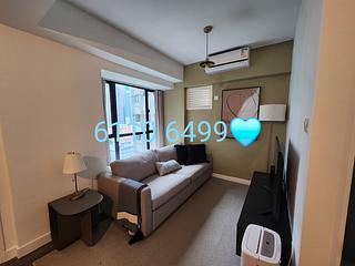 Poho - Rich View Terrace 02