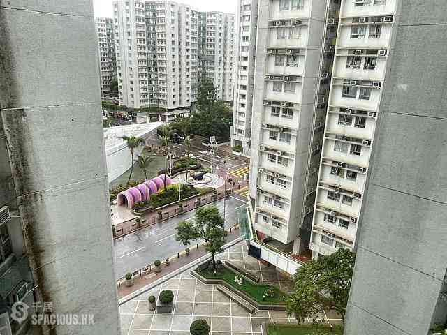 黄埔花园 - 黄埔花园 03