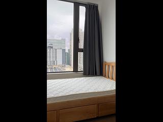 Hung Hom - Mangrove 03
