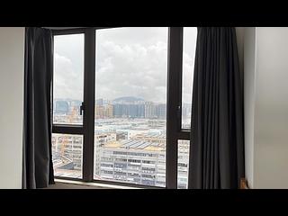 Hung Hom - Mangrove 04