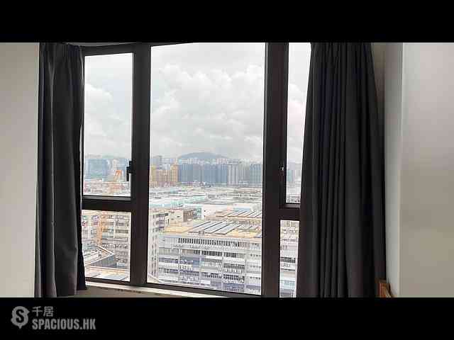 Hung Hom - Mangrove 04