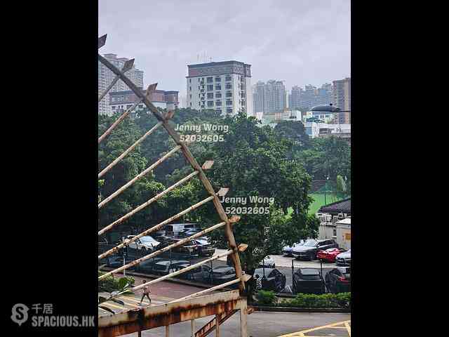 尖沙咀 - 帝寶樓 13