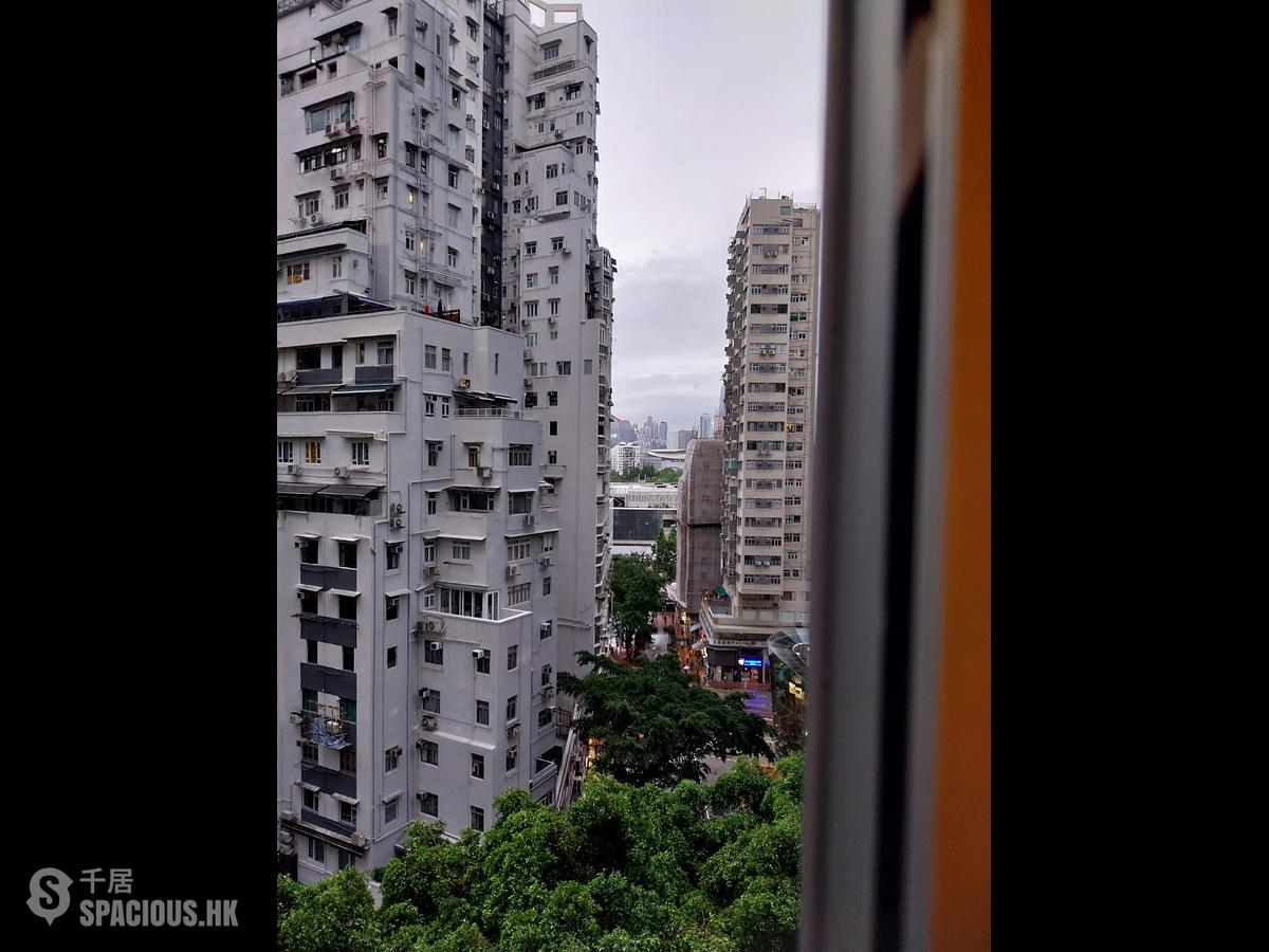 Tin Hau - Dragon View Garden 01