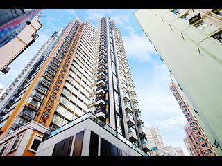 Tai Hang - Coho 02