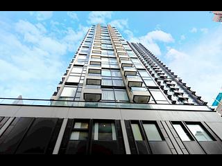 Tai Hang - Coho 20