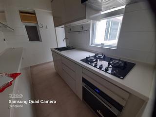 Mid Levels West - Greenview Gardens 13