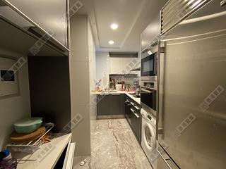 West Kowloon - The Cullinan (Tower 21 Zone 2 Luna Sky) 05
