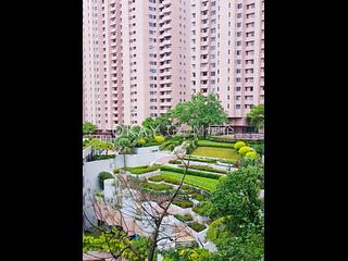大潭 - 阳明山庄 04