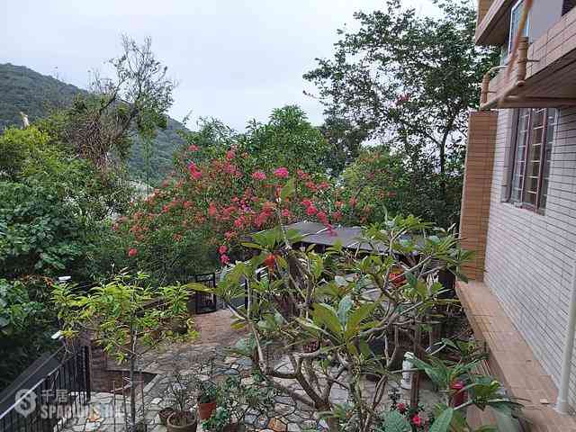 Pok Fu Lam - Chi Fu Fa Yuen Yar Chee Villas 16
