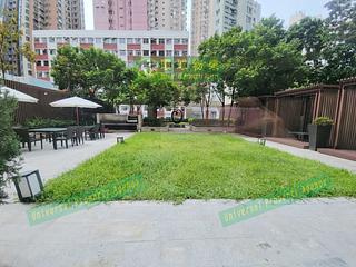 堅尼地城 - Lexington Hill 19