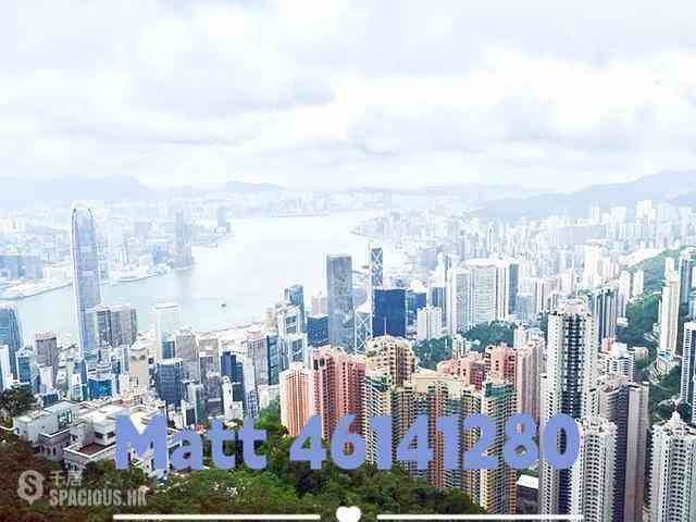 The Peak - Peak Gardens 03