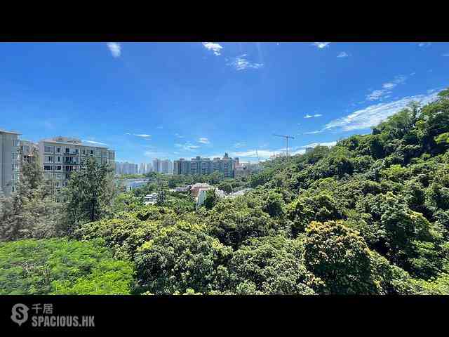 毕架山 - 毕架山1号 01