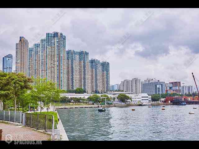 Tai Kok Tsui - Park Avenue Central Park Block 1 12