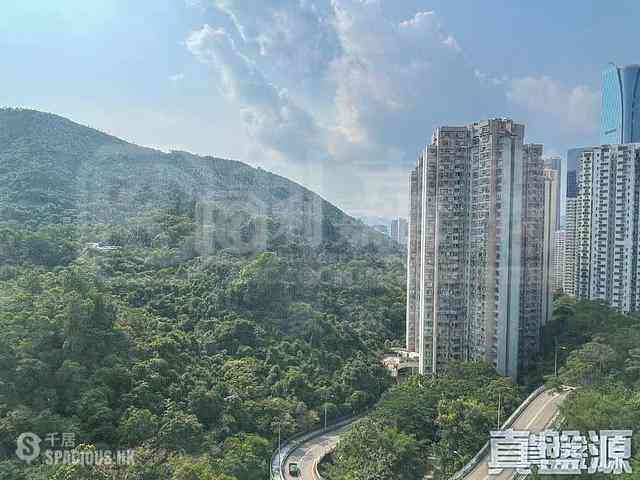 鲗鱼涌 - 康怡花园 01