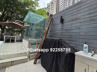 Sai Ying Pun - 1, David Lane 10
