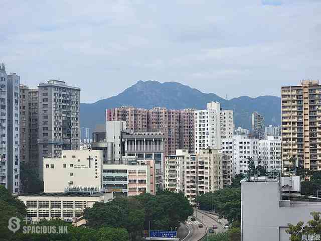 Ho Man Tin - Dragon View 01