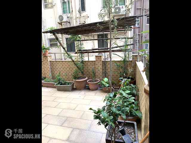 Sai Ying Pun - Lap Poon Building 11