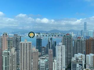 Mid Levels West - Dragonview Court 16