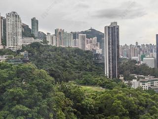 東半山 - 万信台 10