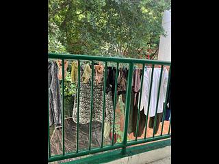 Tai Hang - 11A, Wun Sha Street 08