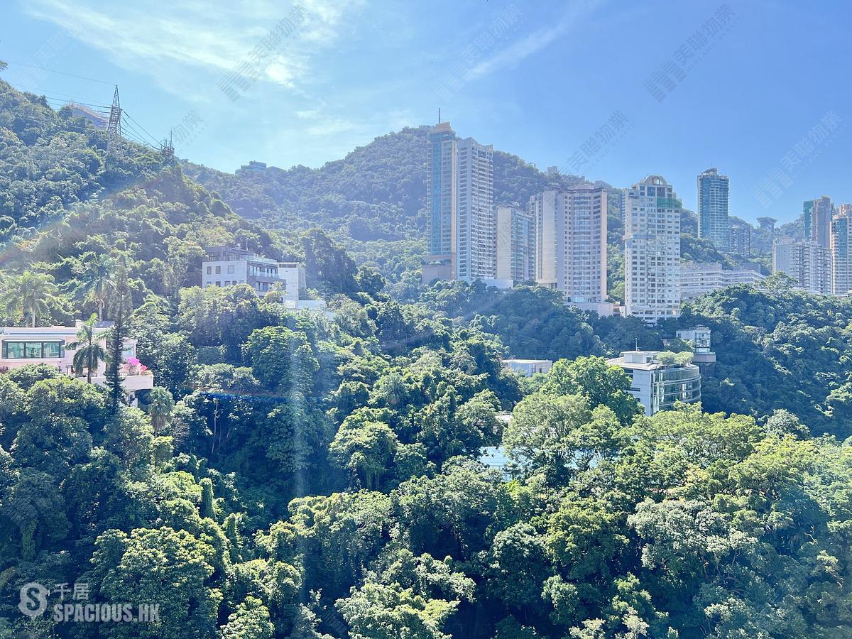 Wan Chai - Royal Court 01