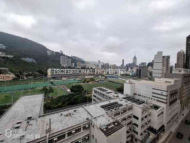Happy Valley - Pioneer Court 06