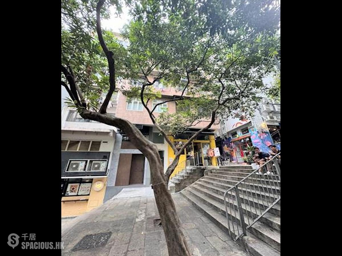 中环 - 善庆街7-9号 01