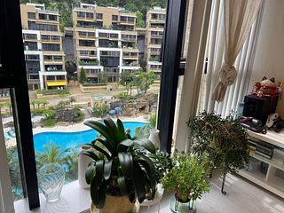 Beacon Hill - DYNASTY HEIGHTS Tropicana 5 05