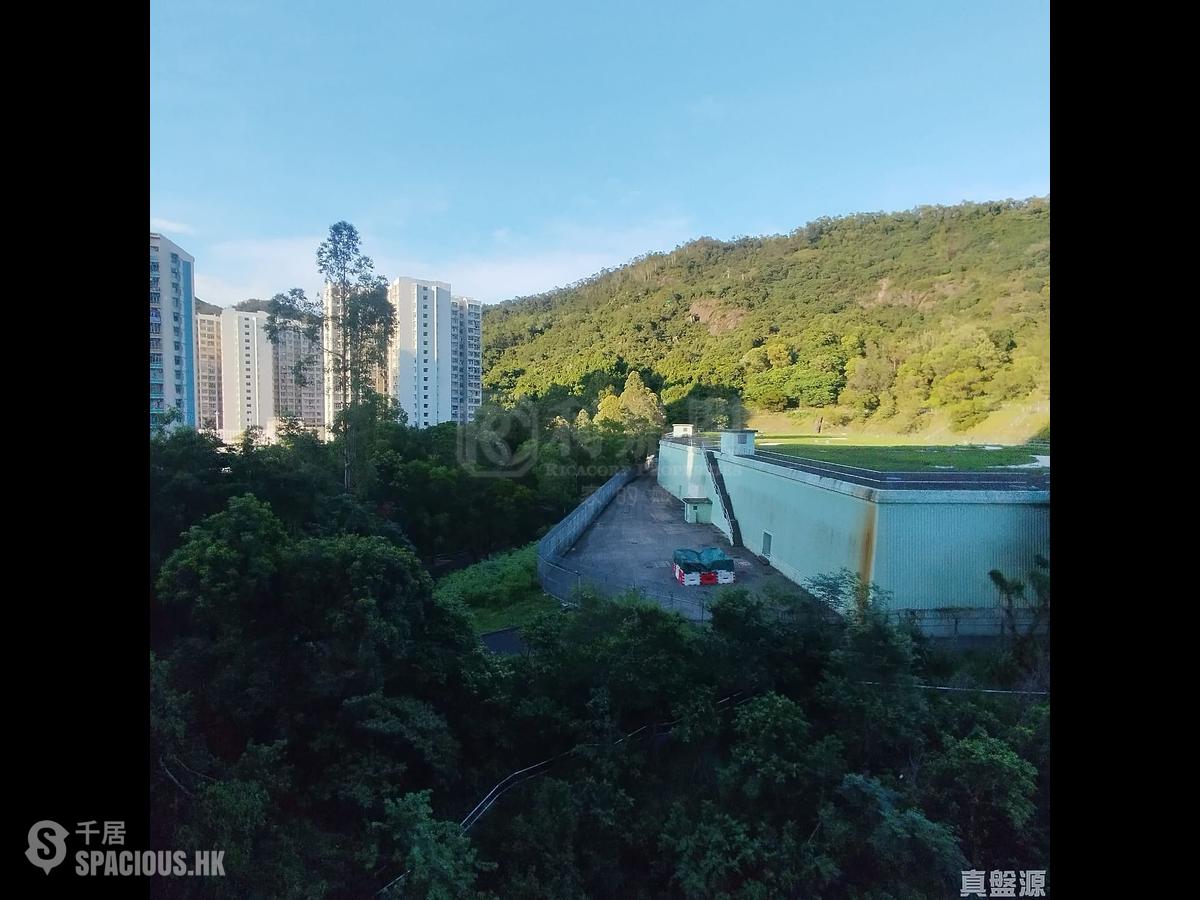 油塘 - 朗譽 01