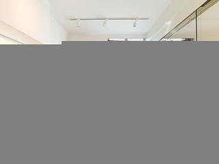 Wong Chuk Hang - Country Villa 08