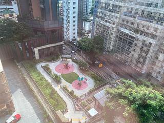 Tin Hau - Dragon Pride 07