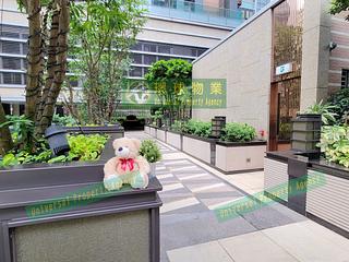 Kennedy Town - Imperial Kennedy 16