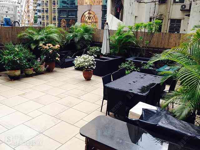Sai Ying Pun - Fung Shing Building 03